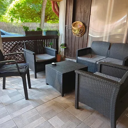 Mikola Vendeghaz, 3*