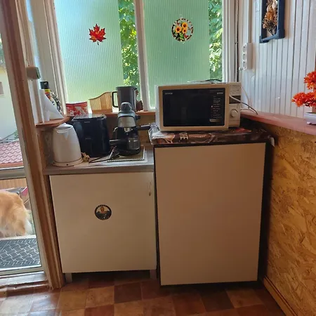 Mikola Vendeghaz, 3* Pálosvörösmart